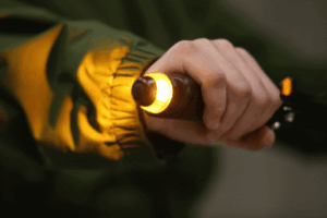 WINGLight Eclairage clignotant de guidon