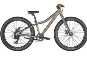 SCOTT Roxter 24 Raw alloy