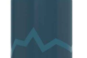 SCOTT Gourde Corporate G5 0,6L