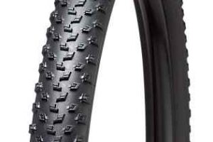 Specialized Pneu 29x2.2 Fast Trak GRID 2BR